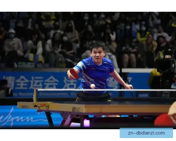 全球乒乓球巅峰对决：巅峰之战闪耀赛场