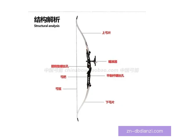 学会射箭：初学者入门教程