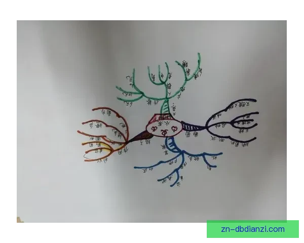 射箭盘口分析：技术探讨与策略解读