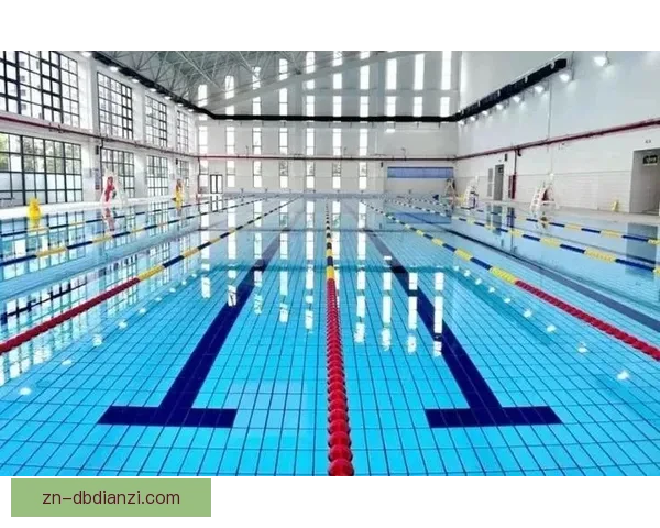 探索游泳技巧：精彩教学视频合集