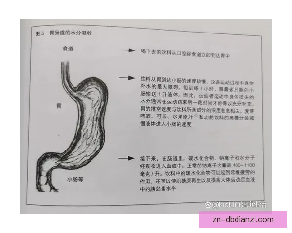 提升举重技巧的关键要点及训练策略