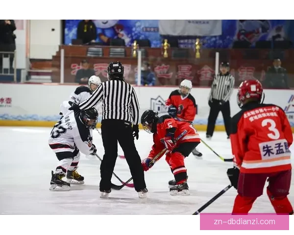 激情碰撞！冰上狂热：冰球大奖赛全方位解读