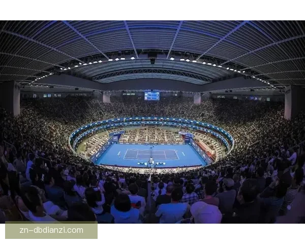 网球世界纪录大揭秘，见证球场上的神奇成就