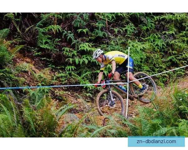自行车赛事预测：探讨未来自行车比赛的赛道设计与选手策略。