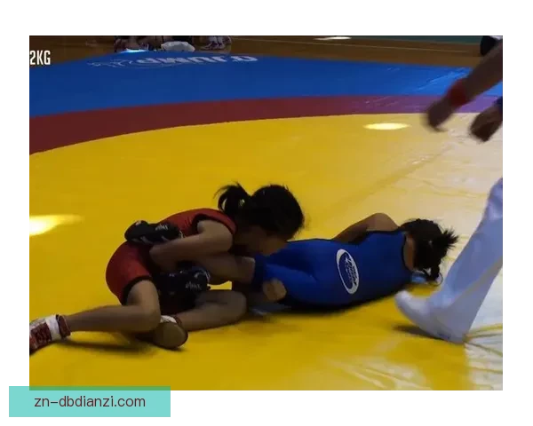 终极对决：挑战摔跤规则的新格斗赛